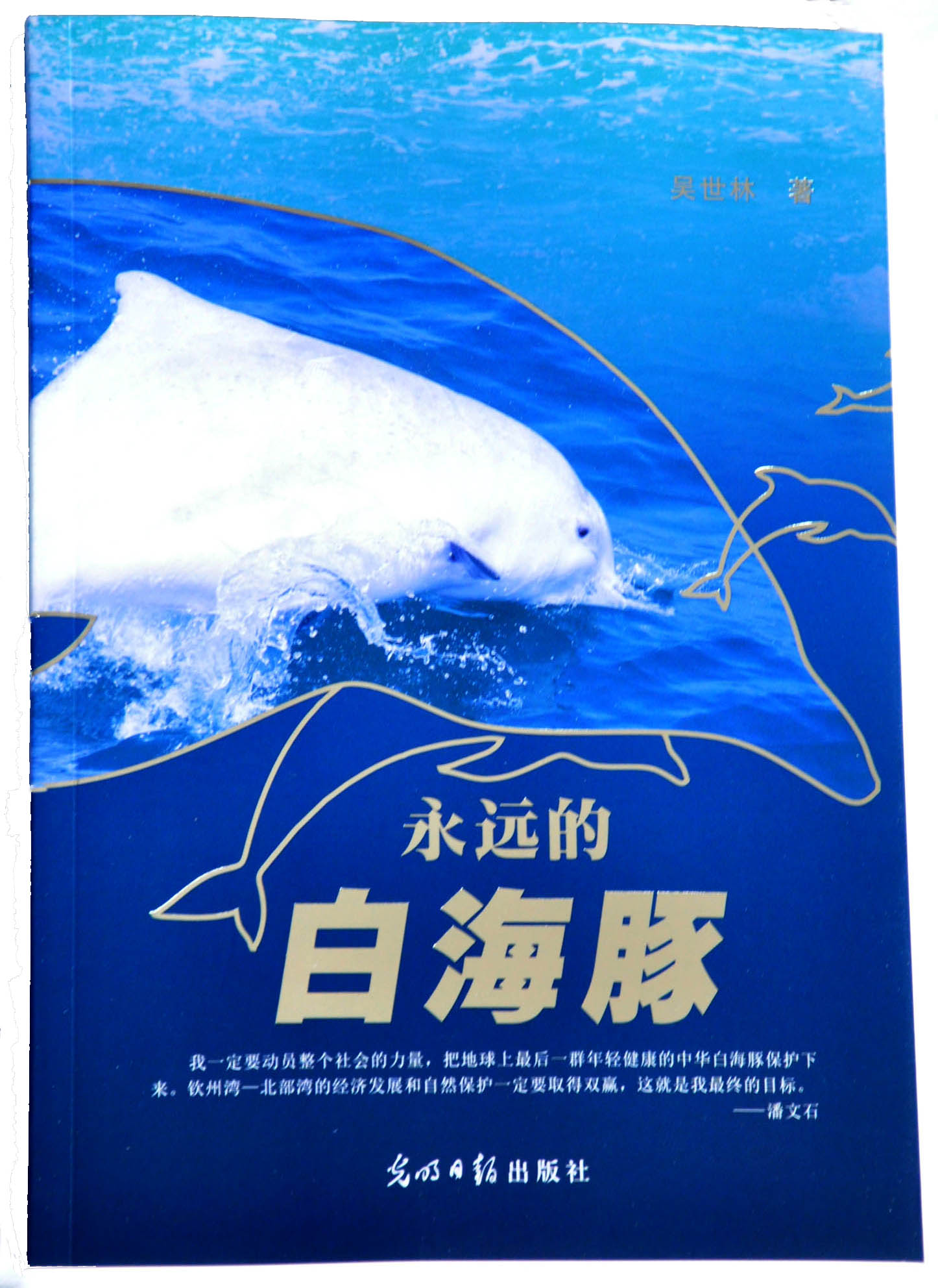 永遠的白海豚1(?。?jpg